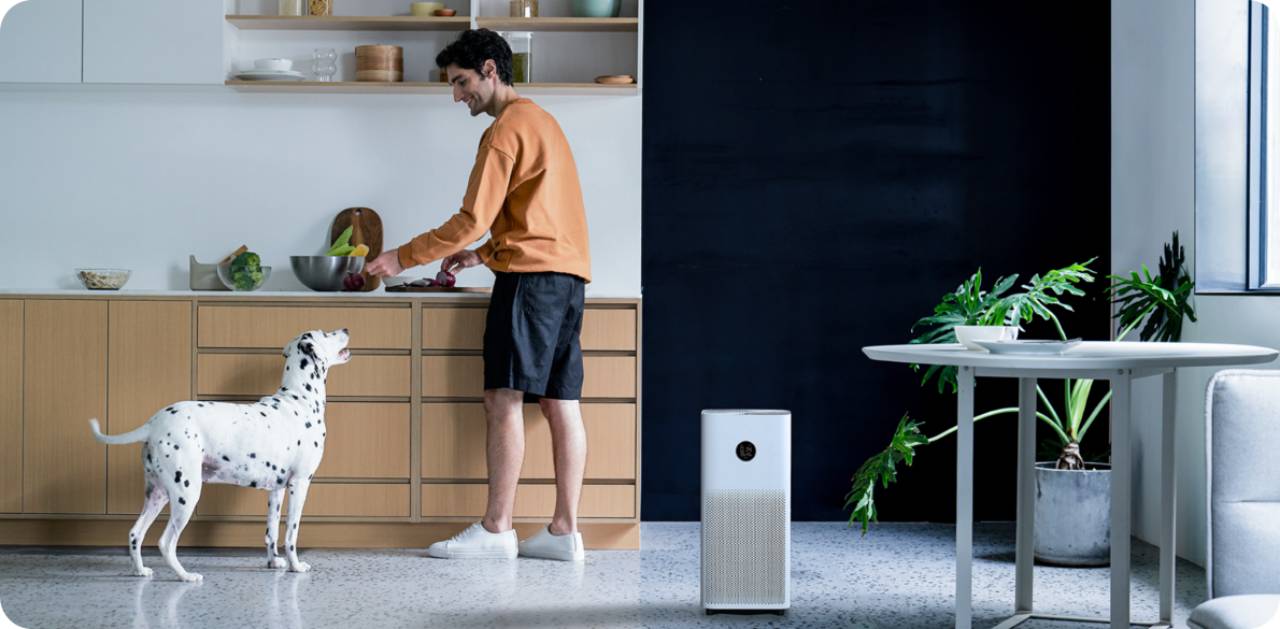 Xiaomi Smart Air Purifier 4 loại bỏ mùi hôi