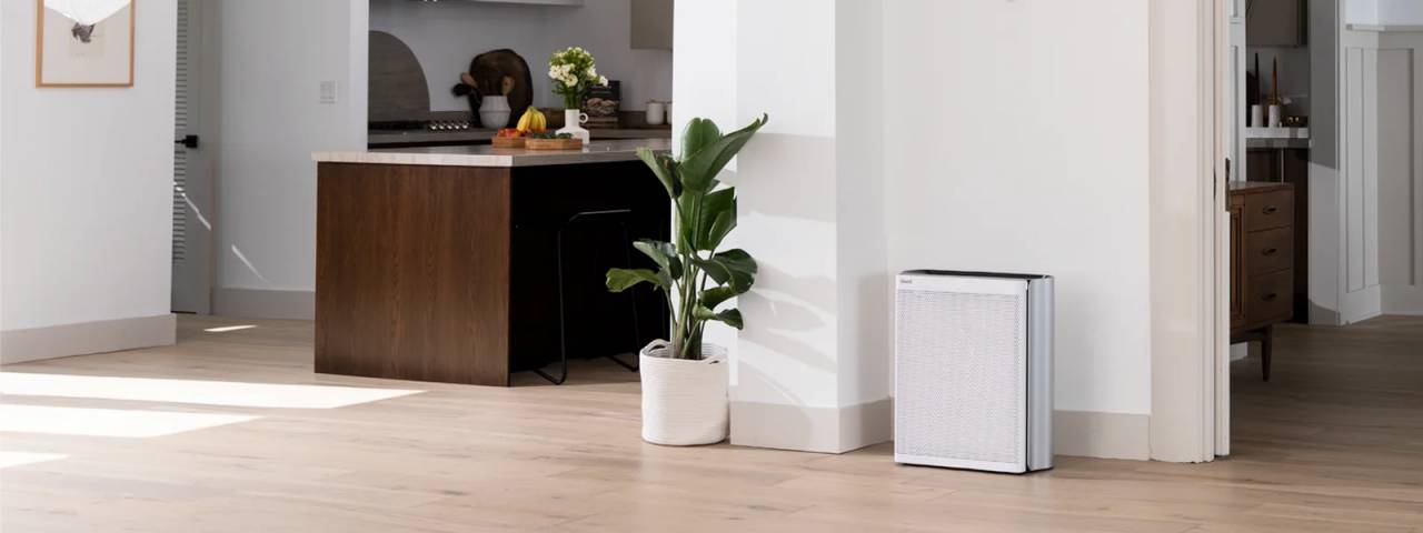 Máy lọc không khí loại bỏ bụi bẩn trong ngôi nhà bạn