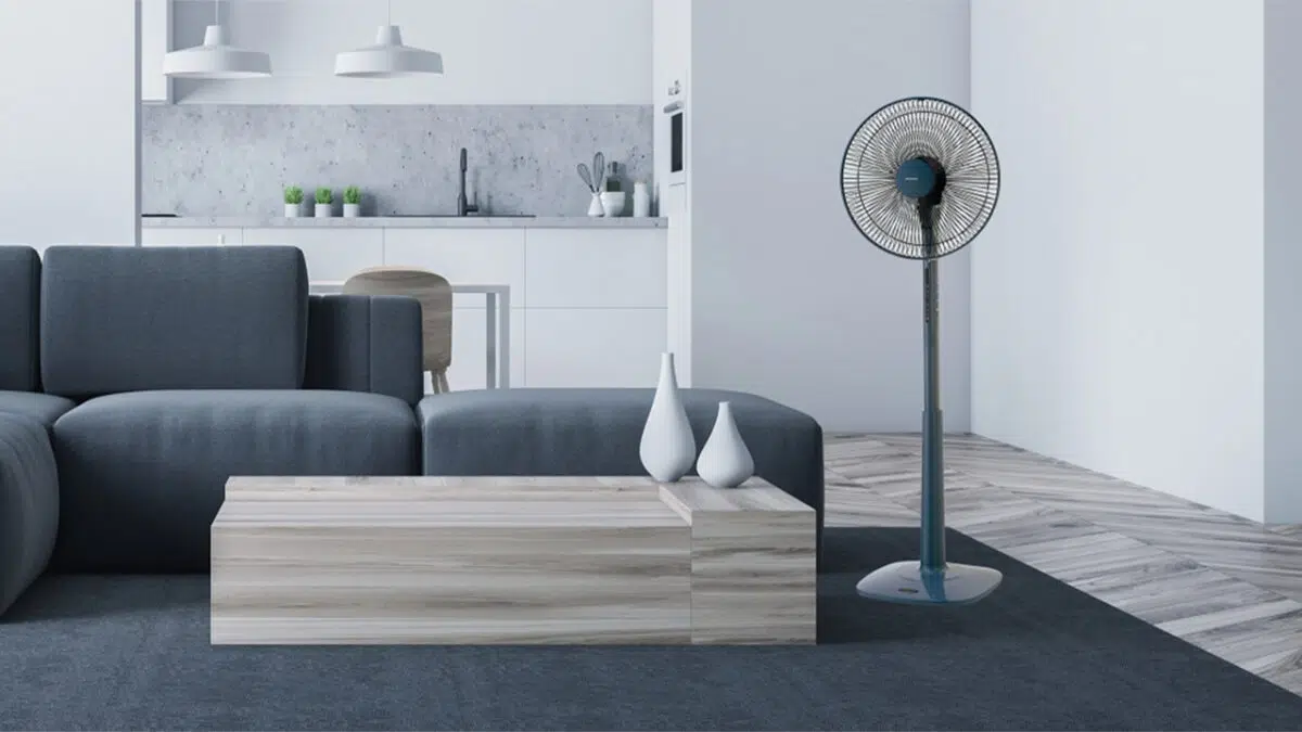 Quạt thường hay đặt ở phòng khách
