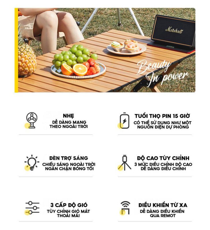 Midea GDG20LY