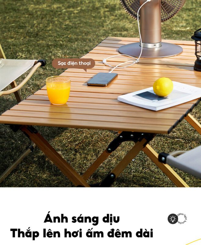 Midea GDG20LY
