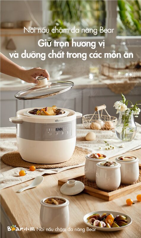 Nồi nấu chậm Bear DDZ-B25Q3