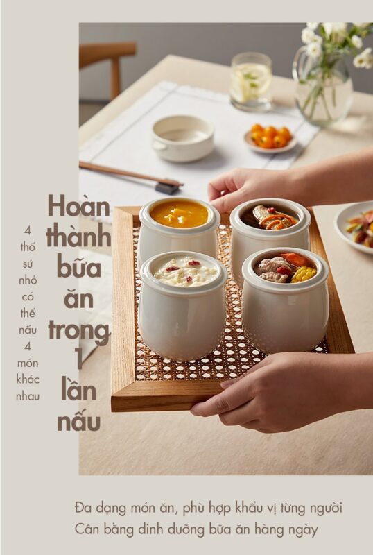 Nồi nấu chậm Bear DDZ-B25Q3