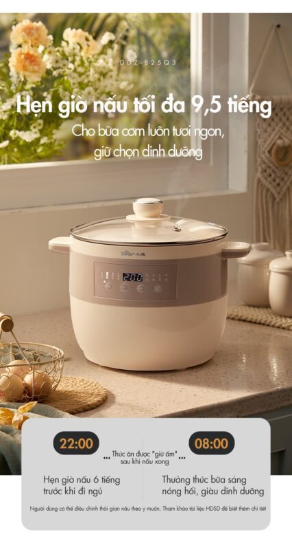 Nồi nấu chậm Bear DDZ-B25Q3