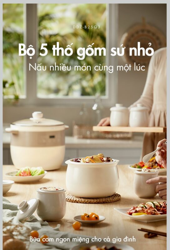 Nồi nấu chậm Bear DDZ-B25Q3