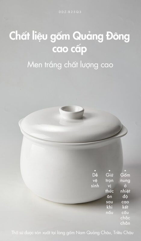 Nồi nấu chậm Bear DDZ-B25Q3