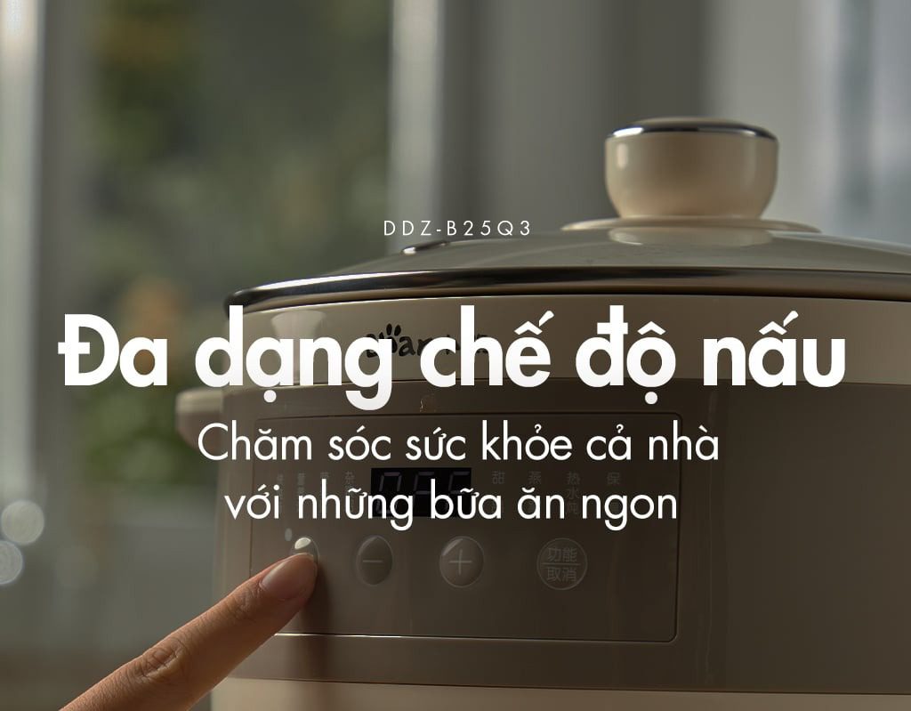 Nồi nấu chậm Bear DDZ-B25Q3