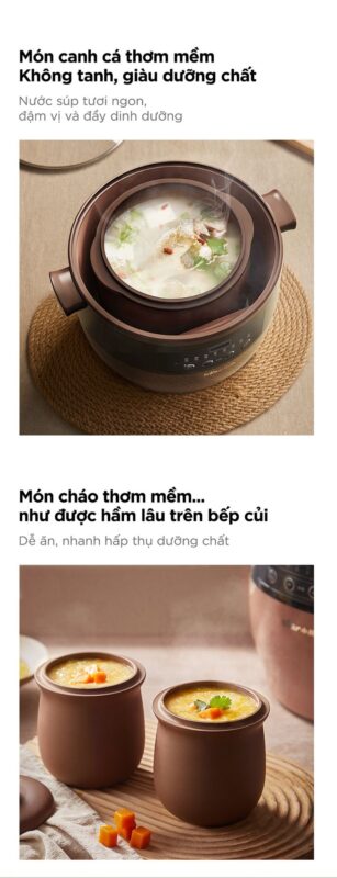 Nồi nấu chậm Bear DDZ-B45Z1