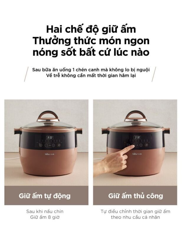 Nồi nấu chậm Bear DDZ-B45Z1