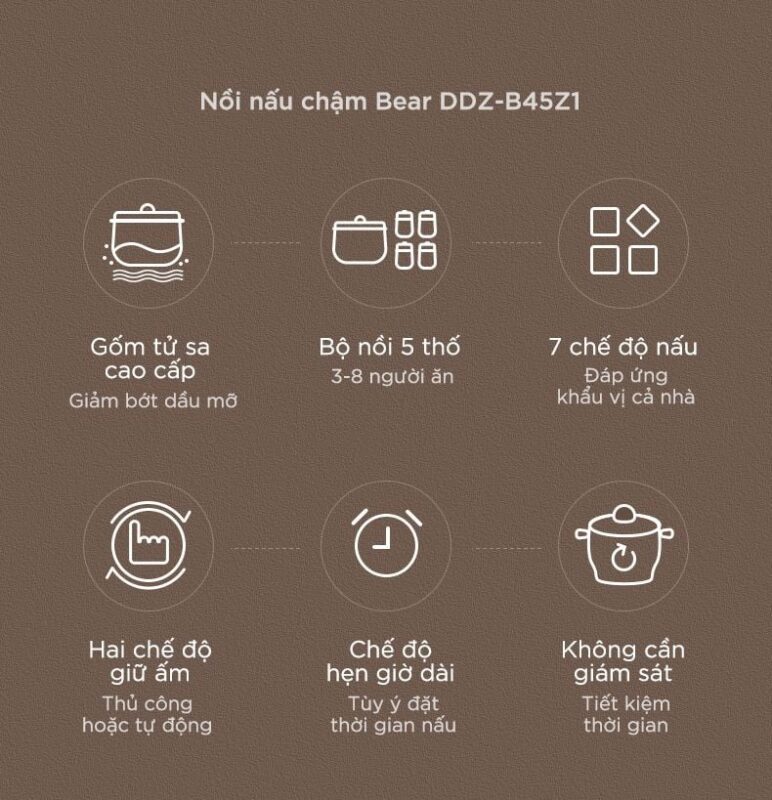 Nồi nấu chậm Bear DDZ-B45Z1