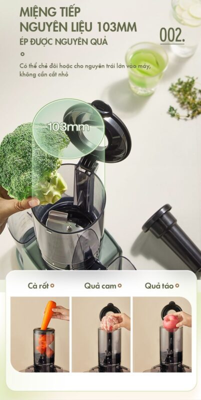 Máy ép chậm đa năng Bear YZJ-D01Y6