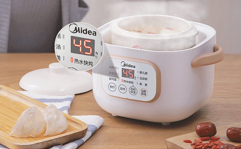 Midea DZ08Easy102