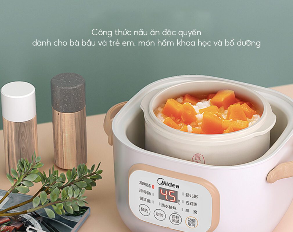 Midea DZ08Easy102
