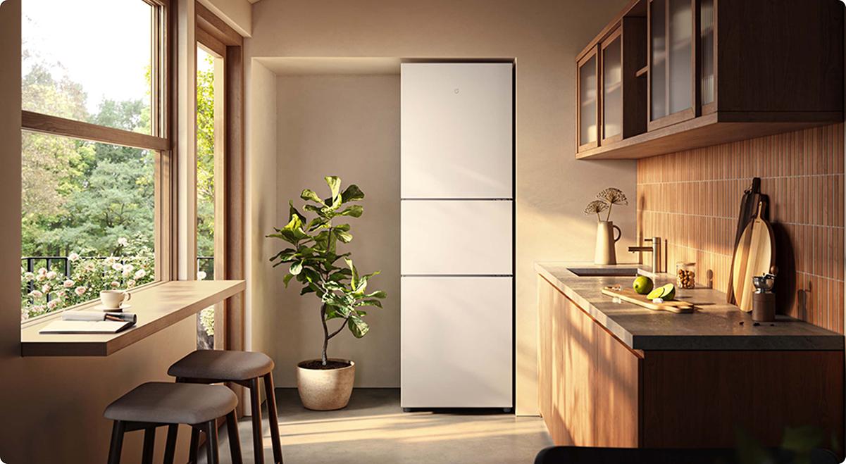 Xiaomi Mijia 303L