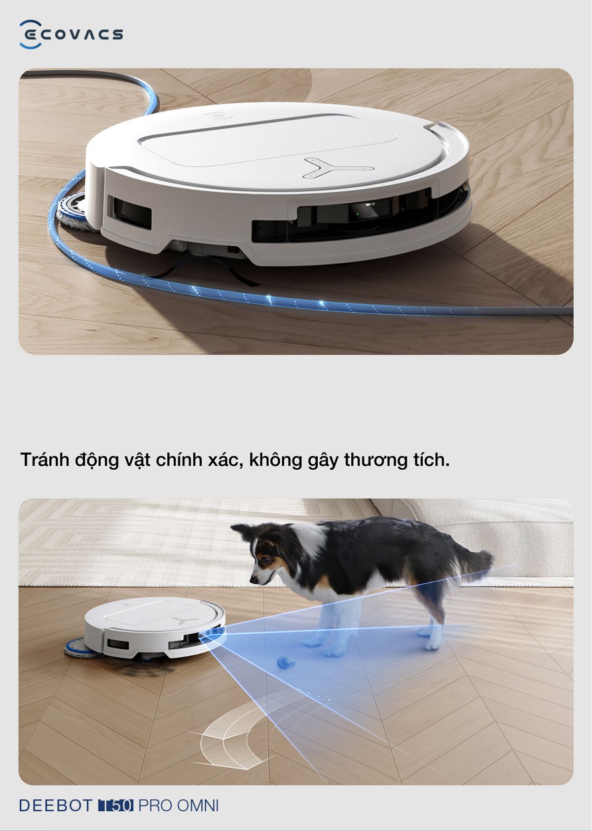 Robot hút bụi Ecovacs T50 Pro OMNI tự động cấp xả