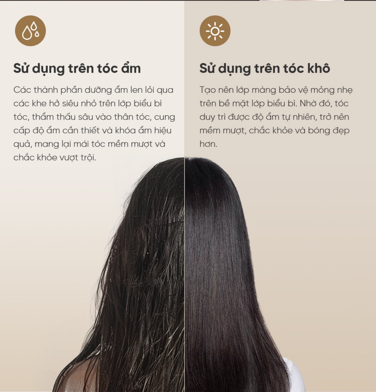 Dreame Hair Glory Pro máy sấy tóc tốc độ cao