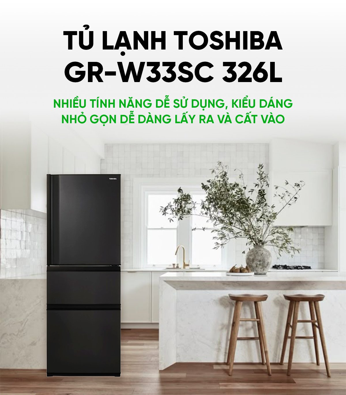Tủ lạnh Toshiba GR-W33SC 326L