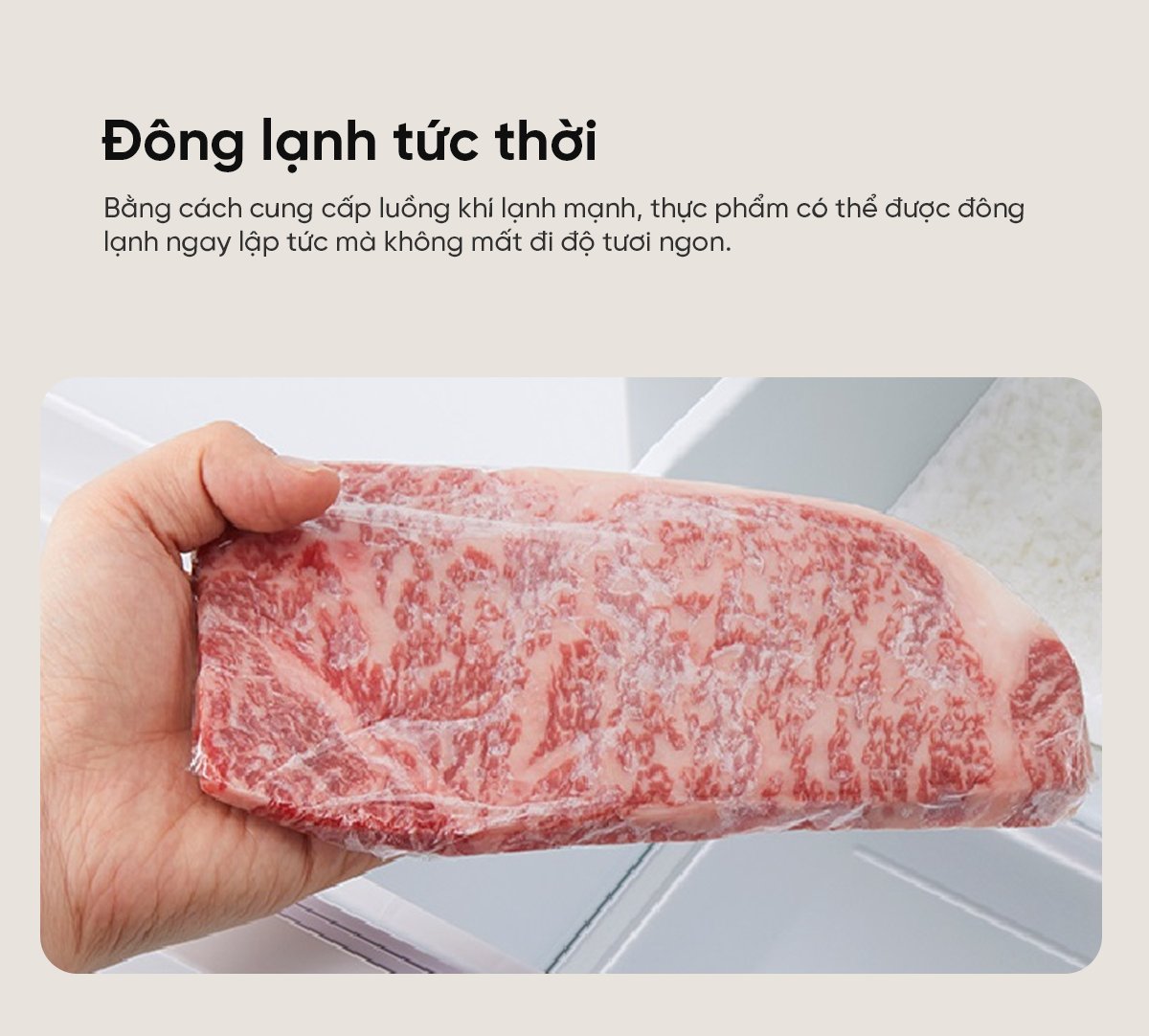 Tủ lạnh Toshiba GR-Y41GH 411L