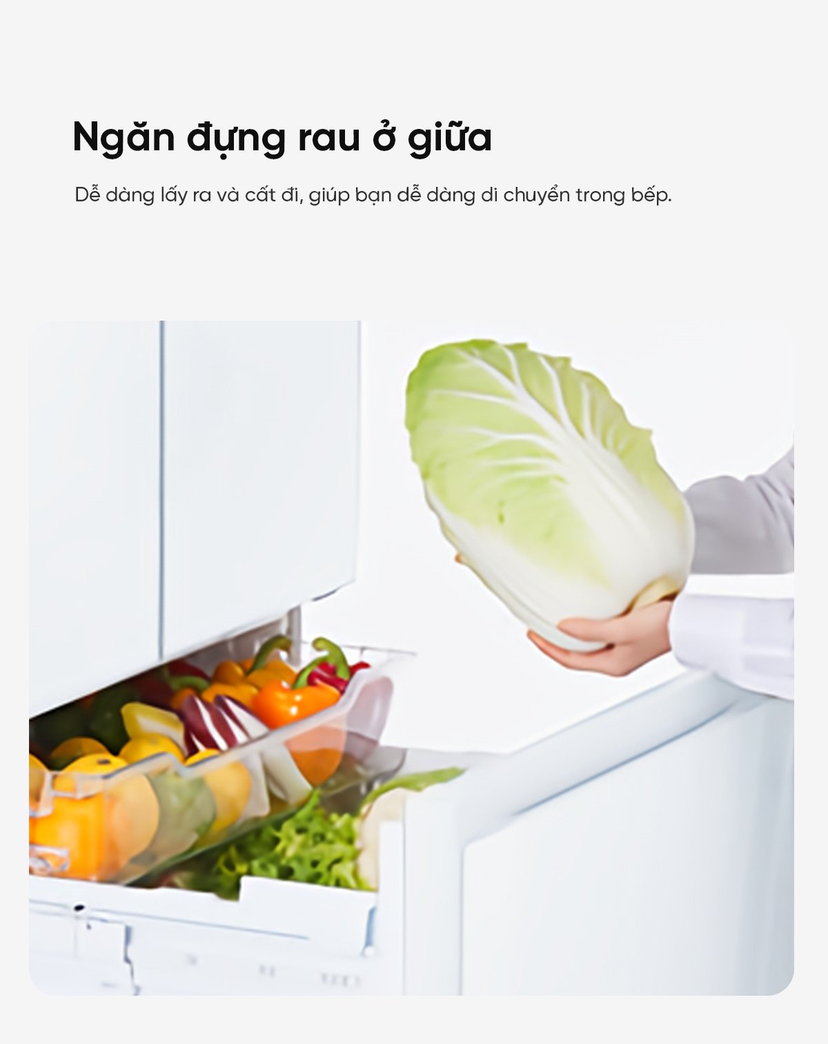 Tủ lạnh Toshiba GR-Y510FH 509L