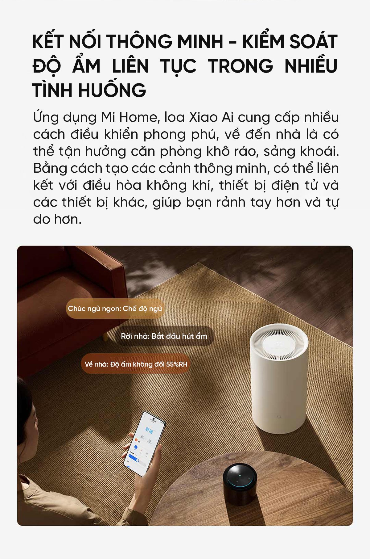 Máy hút ẩm Xiaomi 13L