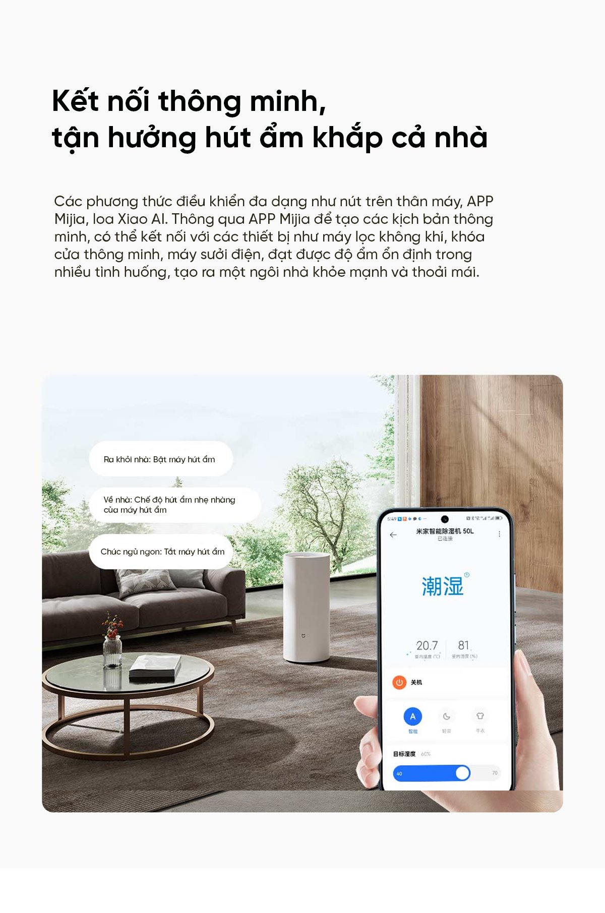 Máy hút ẩm Xiaomi 50L